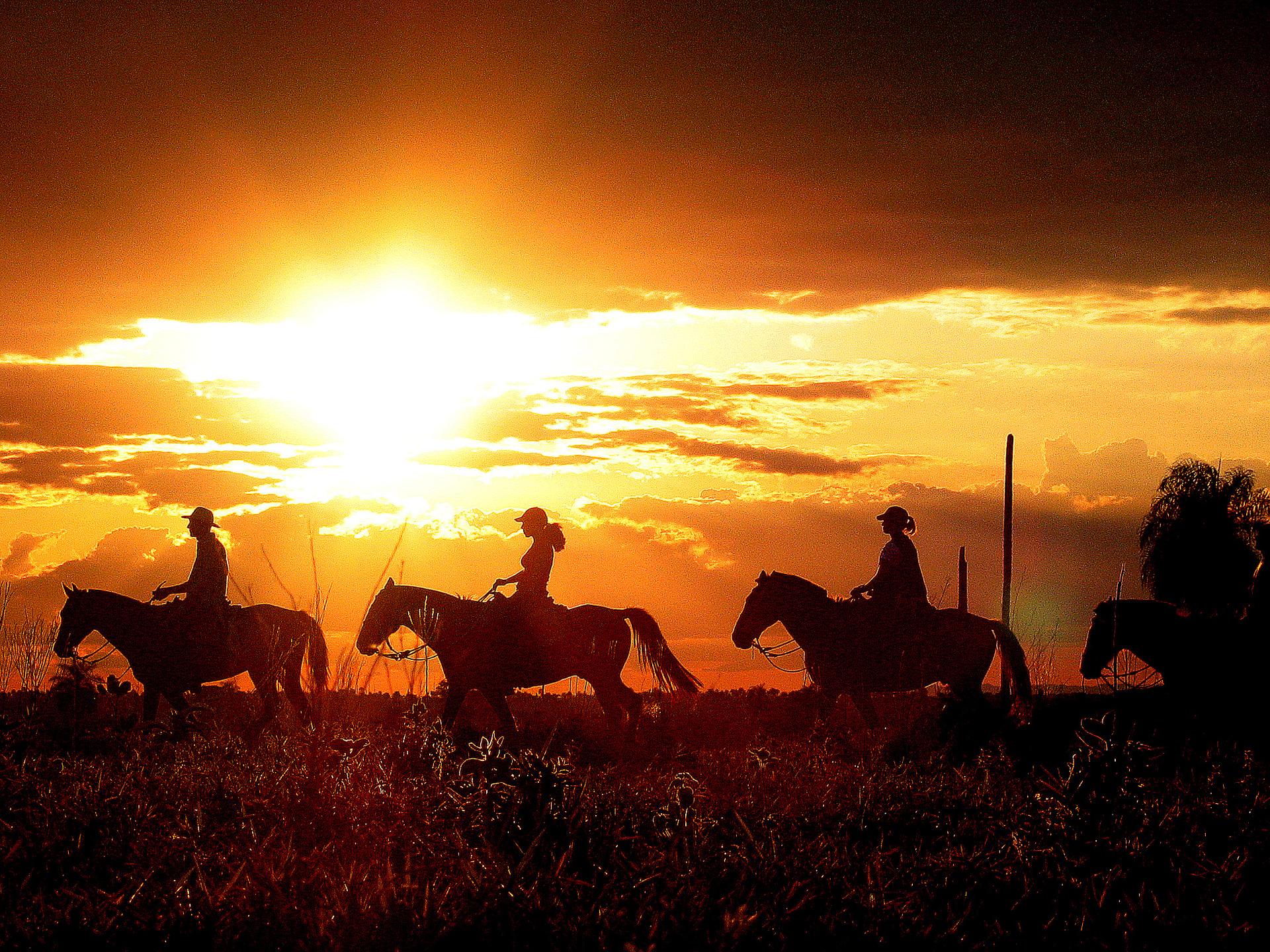 Vista que transforma perspectivas