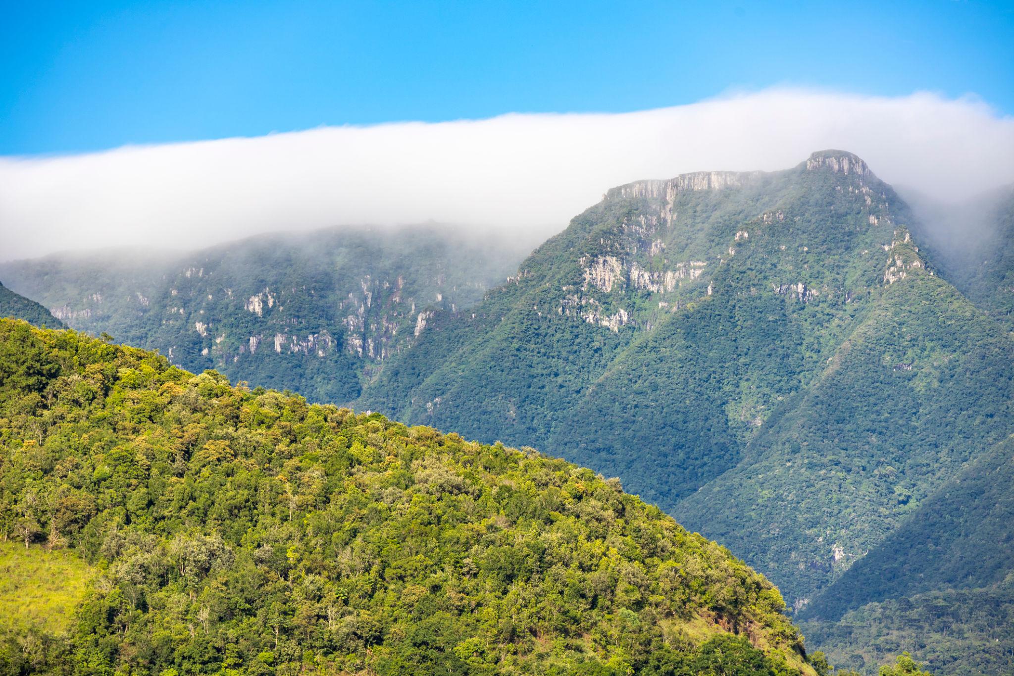 Localização São Joaquim